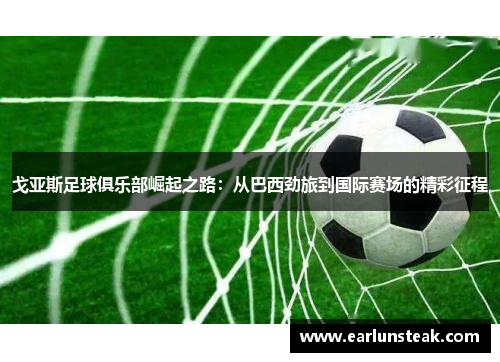 戈亚斯足球俱乐部崛起之路：从巴西劲旅到国际赛场的精彩征程